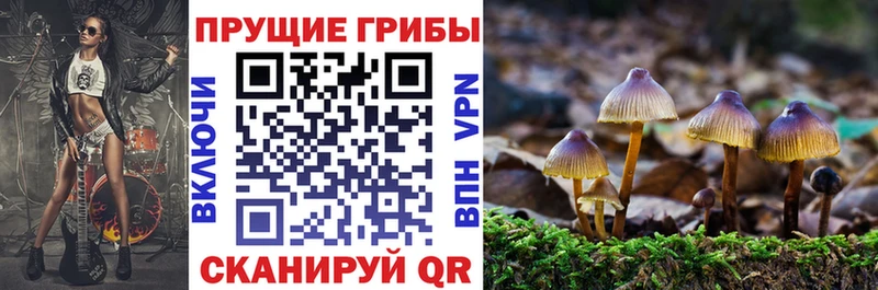 Галлюциногенные грибы прущие грибы  Купить закладки  Пугачёв 