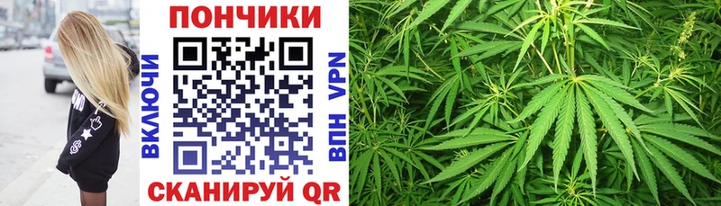 Канабис план  Купить где  Пугачёв 